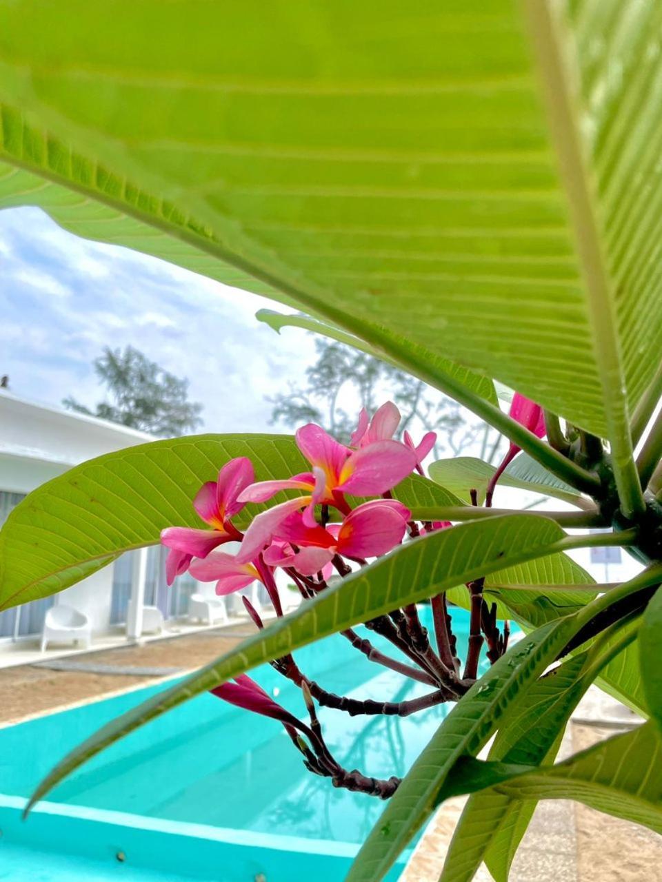 Villa Bari Loft เซอติว ภายนอก รูปภาพ